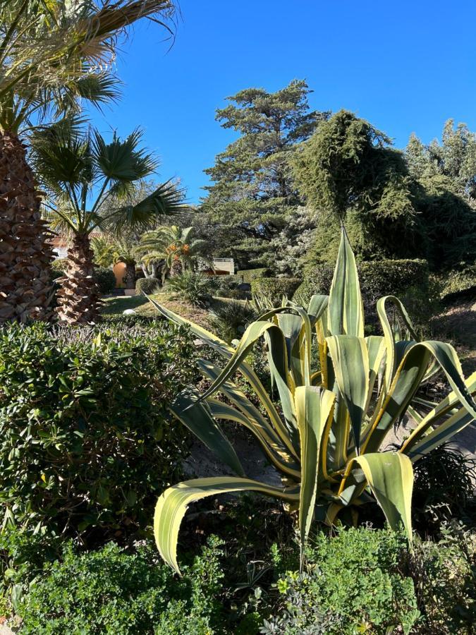 Appartement Vue Mer Domaine Arbore Saint-Raphaël エクステリア 写真